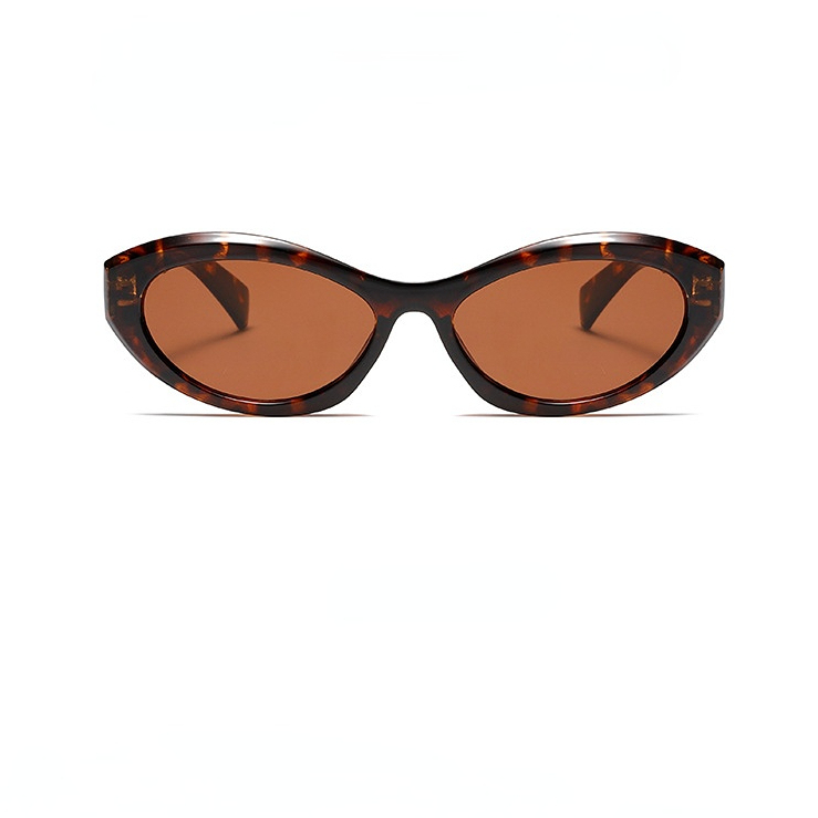 1 Paire De Lunettes De Soleil Simples En Plastique À Imprimé Léopard Pour Femme Image3