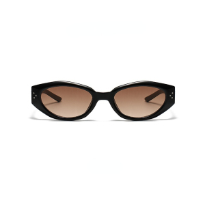 Lunettes De Soleil Rétro En Plastique De Couleur Unie Pour Femme, Série Simple, 1 Pièce h5 Image3