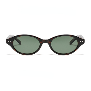 Lunettes De Soleil Élégantes En Plastique À Imprimé Léopard Pour Femme, Série Simple, 1 Pièce h5 Image3