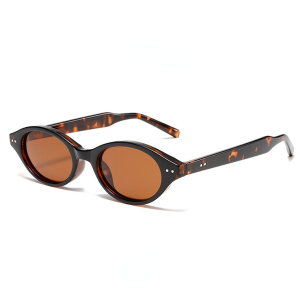 Lunettes De Soleil Élégantes En Plastique À Imprimé Léopard Pour Femme, Série Simple, 1 Pièce h5 Image5