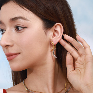 Boucles D'Oreilles Puces Pour Femme, Style Simple, En Forme De Lune, En Acier Inoxydable Étanche, Couleur Or (1 Paire). h5 Image2