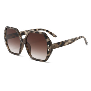Lunettes De Soleil En Plastique À Imprimé Léopard Pour Femme, Série Simple, 1 Pièce h5 Image3