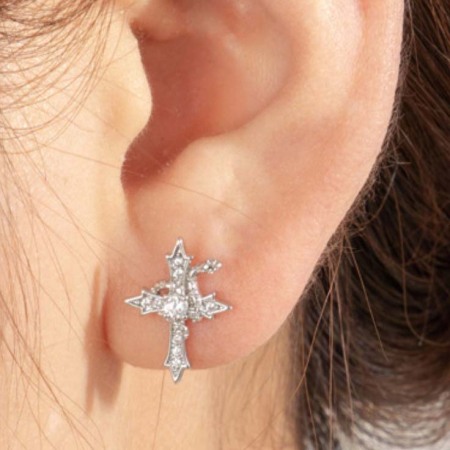 1 pièce de boucles d'oreilles à tige en acier titane et zircon pour femme, style décontracté, série simple, motif animal, sans placage 2