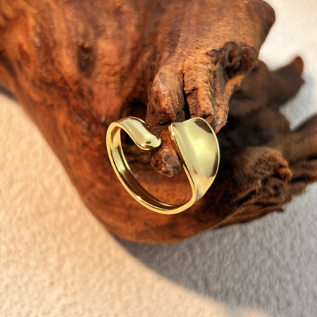 Bague ajustable pour femme, en acier inoxydable uni, étanche, collection Simple Series (1 pièce). 2