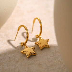 1 Paire De Boucles D'Oreilles Pendantes En Acier Inoxydable Étanches En Forme De Cœur (C) h5 Image4