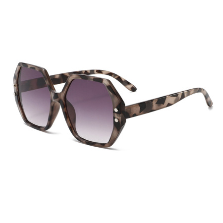 Lunettes De Soleil En Plastique À Imprimé Léopard Pour Femme, Série Simple, 1 Pièce