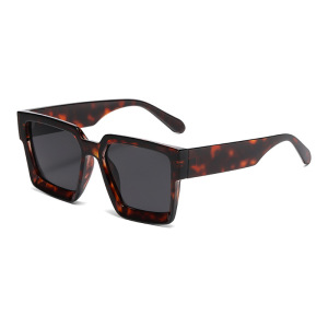 Lunettes De Soleil En Plastique À Imprimé Léopard Pour Femme, Série Simple, Décontractées, 1 Pièce h5 Image3