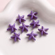 # violet Image6