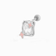 0165-3# Poudre d'argent Image6