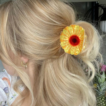 Pinces à cheveux élégantes en acrylique pour femmes, série simple 2