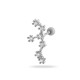 5#-Lion Image9