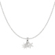 couleur argent Image2