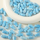 Bleu Image11