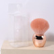 Little Apple - Poudre électrolytique or rose - Rose mat bicolore - Pinceau poudre libre à tête ronde + emballage PVC Image4