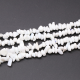 Porcelaine blanche Image55