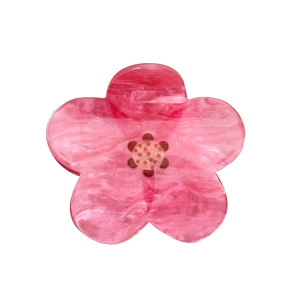 Pinces À Cheveux Élégantes En Acrylique Pour Femmes, Série Simple h5 Image5
