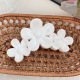 Blanc Image3