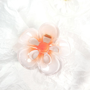 Pinces À Cheveux En Plastique Pour Femmes, Série Simple, Motif Fleur Douce h5 