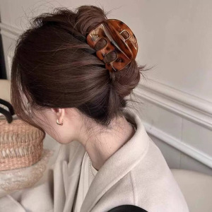 Pinces À Cheveux En Résine Pour Femmes, 1 Pièce, Série Simple, Décontractées, Couleur Unie h5 Image2