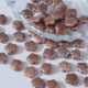 Fleur crème (6×14mm) Image21