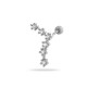12#-Poissons Image23