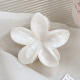Blanc Image5