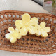 Jaune Image2