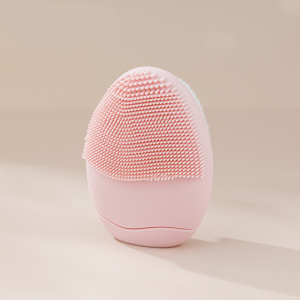 Brosse Faciale Double Face Disponible Pour Femmes h5 