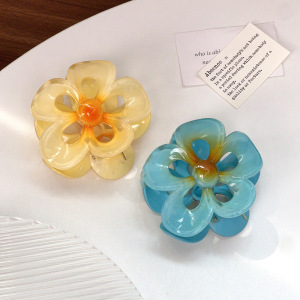 Pinces À Cheveux En Plastique Pour Femmes, Série Simple, Motif Fleur Douce h5 Image3