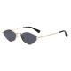 C1 Or brillant/Gris 