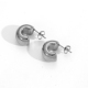 couleur argent Image2