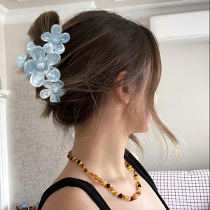 1 Paire De Pinces À Cheveux En Résine De Couleur Unie Pour Femmes, Série Simple h5 Image3