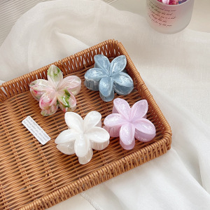 1 Paire De Pinces À Cheveux En Résine Pour Femme, Série Simple, Motif Fleur Douce h5 Image3