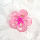Rose rose 7,5 cm Image2