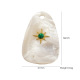 Coquille blanche 2 Image6
