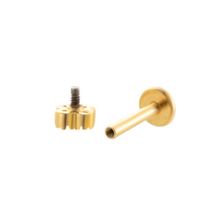 1 Pièce De Boucles D'Oreilles Piercing Pour Femme En Forme De Fleur Simple, Couleur Cuivre Et Or, Zircone h5 Image7