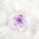 Violet 7,5 cm Image4