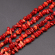 Corail rouge Image15