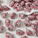 Requin rose Image9