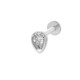 0153-8# Argent Image15