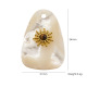 Coquille blanche 1 Image5