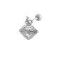 022—Argent Image7