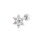 016—Argent Image2
