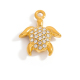  Image22