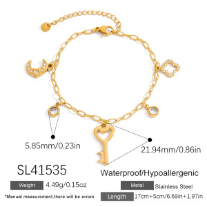 Bracelets À Breloques Pour Femmes, Collection Daily Turtle, En Acier Inoxydable Étanche. h5 Image2