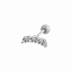 017—Argent Image6