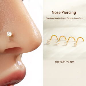 1 Pièce Exquise Clou De Nez En Zircon Pour Femme h5 Image4