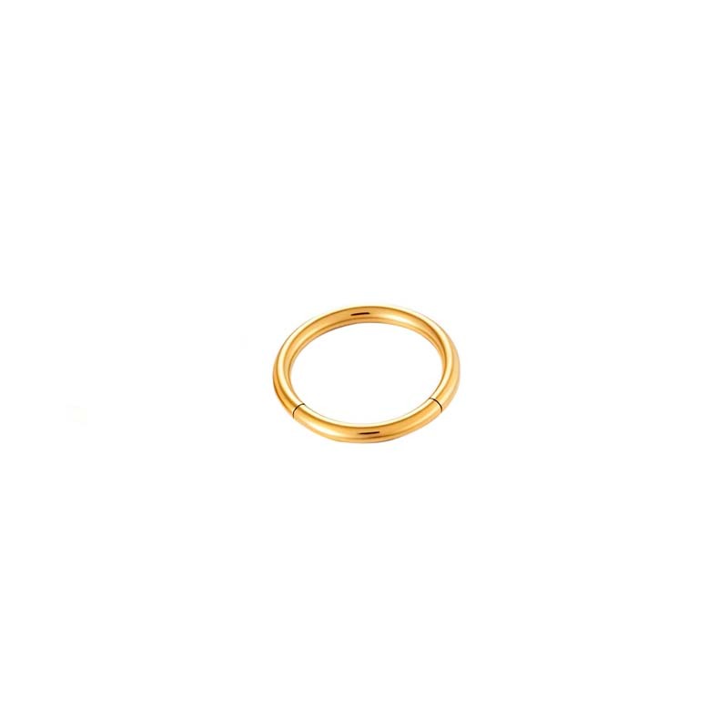 Boucles D'Oreilles Piercing Minimalistes Pour Femme, En Acier Inoxydable Étanche, Couleur Or (1 Pièce).