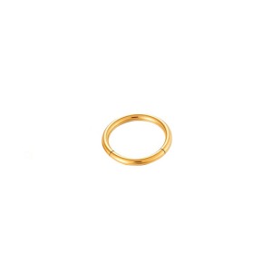 Boucles D'Oreilles Piercing Minimalistes Pour Femme, En Acier Inoxydable Étanche, Couleur Or (1 Pièce). h5
