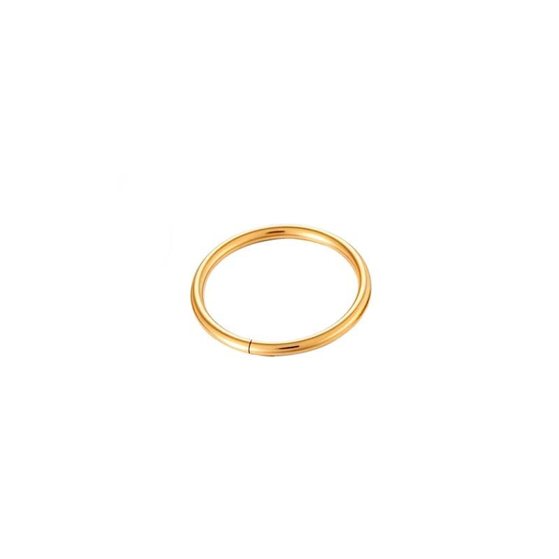 Boucles D'Oreilles Piercing Minimalistes Pour Femme, En Acier Inoxydable Étanche, Couleur Or (1 Pièce). h5Image6
